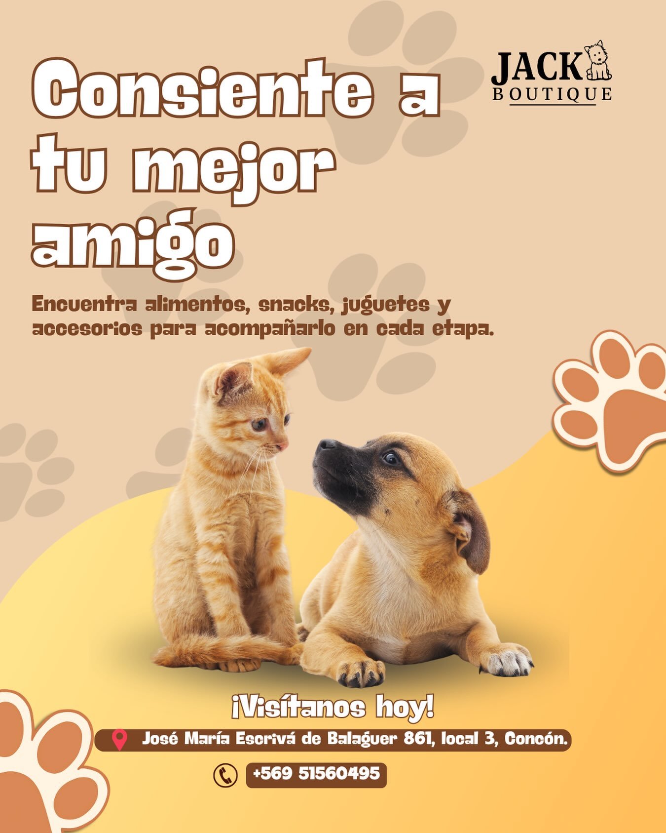 Publicación de productos para perros y gatos disponibles en Jack Boutique