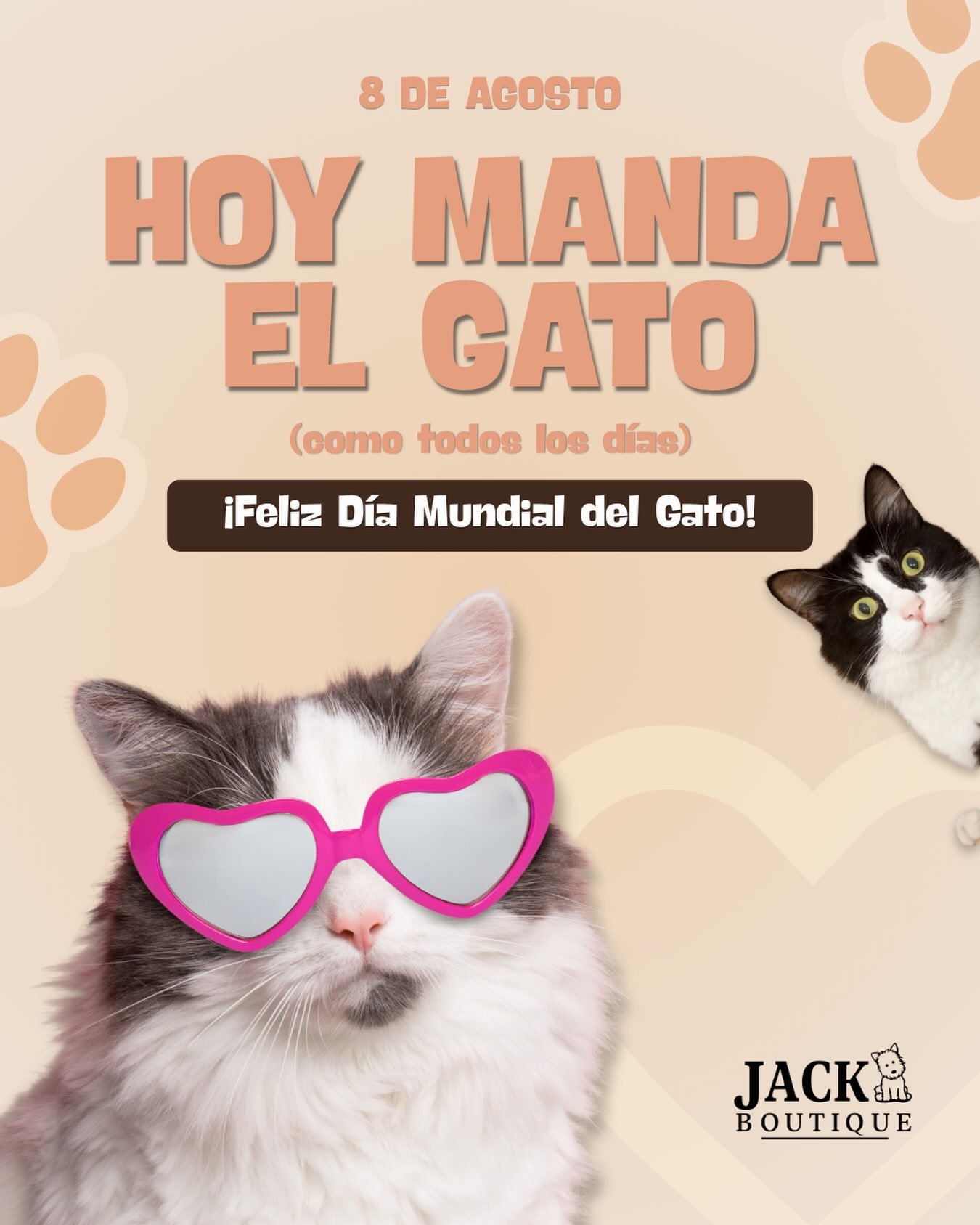 Publicación de Jack Boutique por el Día Mundial del Gato