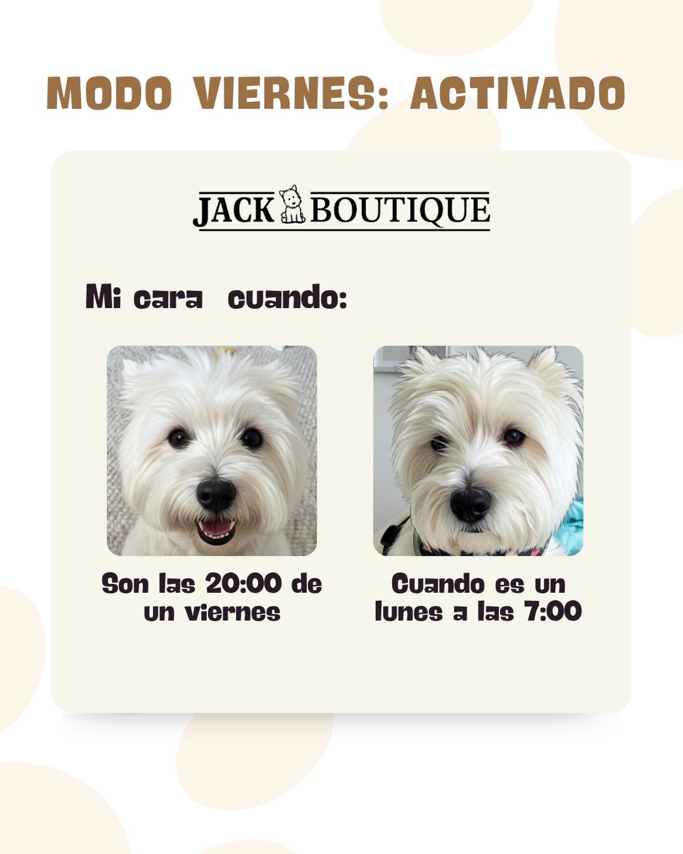 Publicación entretenida de Jack Boutique protagonizada por un perro