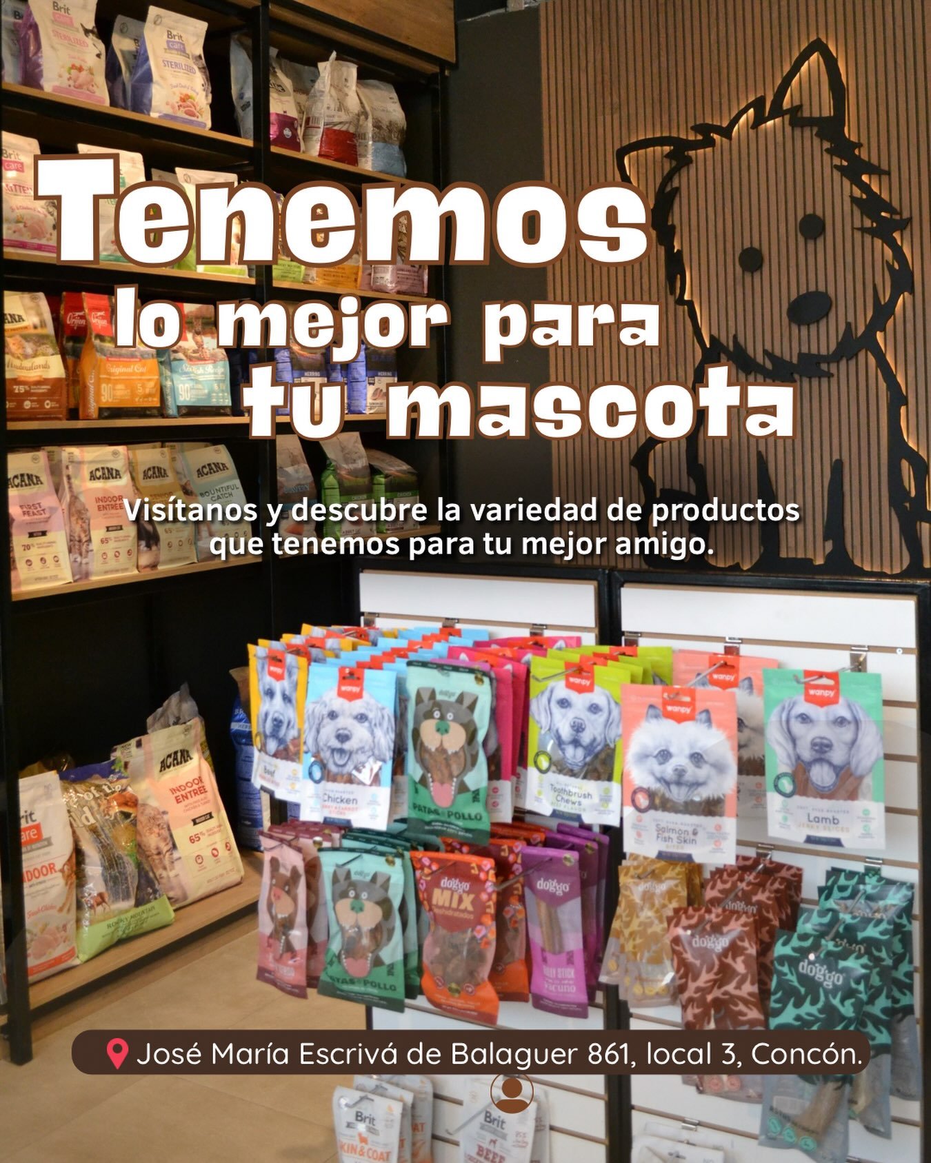 Interior de Jack Boutique y variedad de productos para mascotas