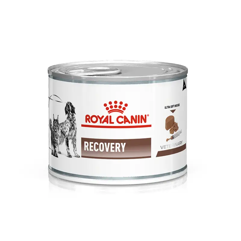 Royal Canin Lata Recovery 145Gr