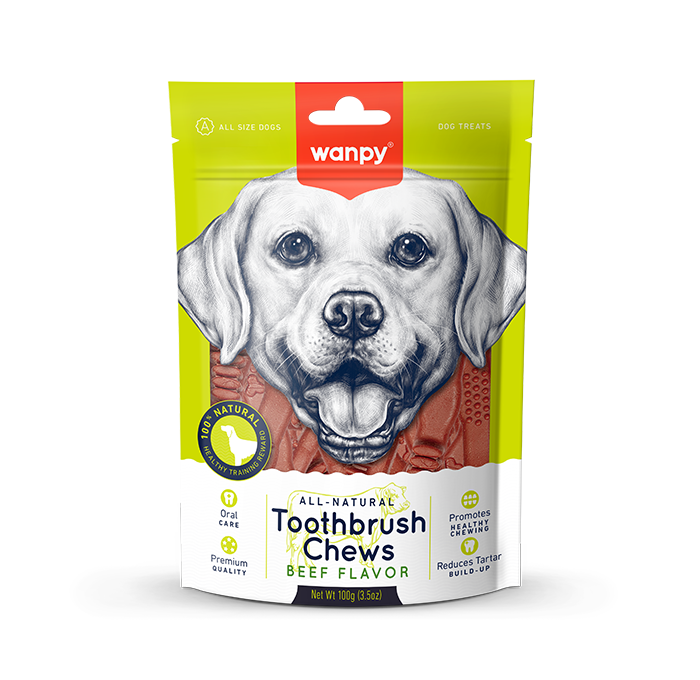 Wanpy Toothbrush Chews Beef 100g