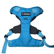 Petlounge Arnes Outdoor - Celeste M