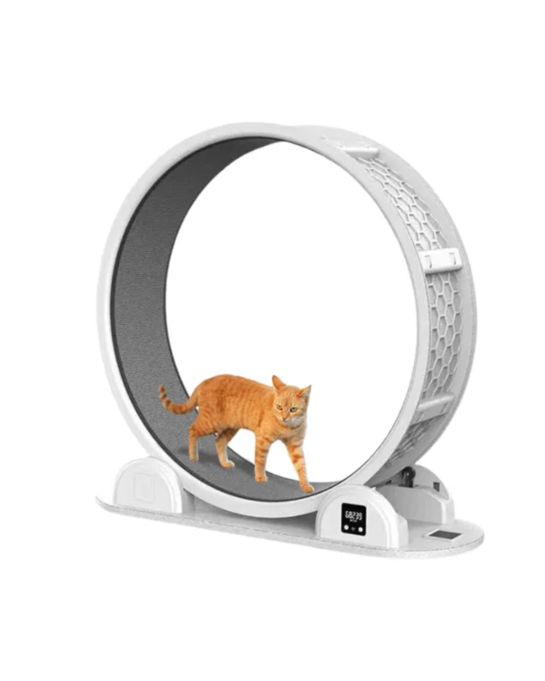 Marben Pets Rascador RK38